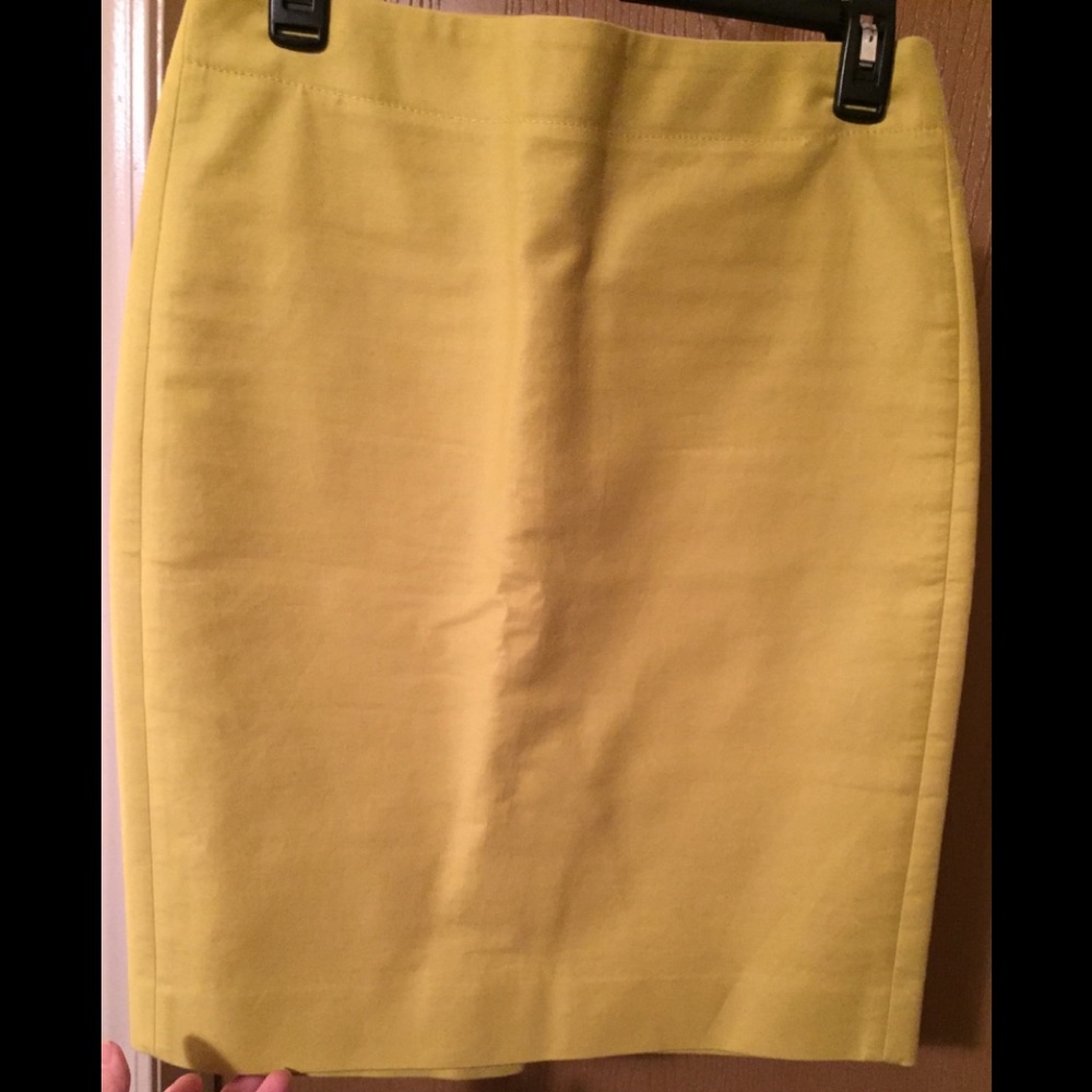 J Crew Skirt